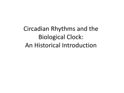Circadian Rhythms and the Biological Clock