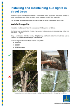 Installing and maintaining bud lights in street trees