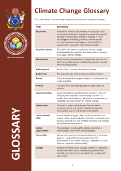 CCCI FS6b Glossary