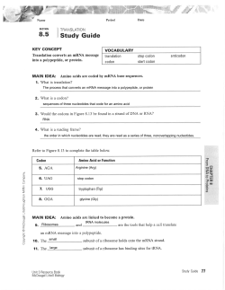 The process that converts an mRNA message into a polypeptide, or