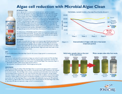 Algae cell reduction with Microbial Algae Clean