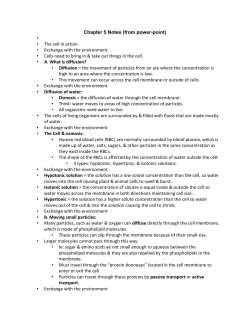 Chapter 5 Notes (from power-point) The cell in action Exchange with