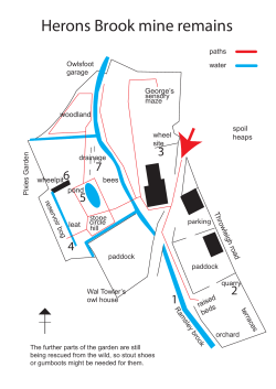 Herons Brook mine remains