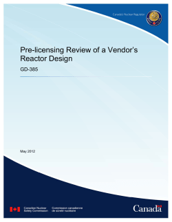 Pre-licensing Review of a Vendor`s Reactor Design