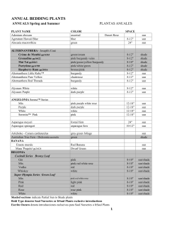 annual bedding plants