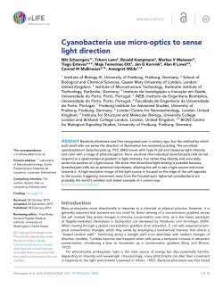 Cyanobacteria use micro-optics to sense light direction | eLife