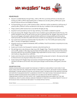 House Rules - Mr. Muggles