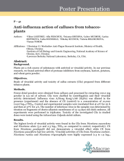 Anti-influenza action of calluses from tobacco- plants