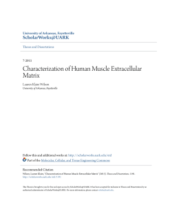 Characterization of Human Muscle Extracellular Matrix