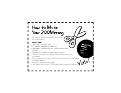 How to Make Your ZOOMerang