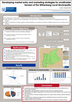 Developing market entry and marketing strategies for