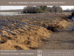 Breeding for Scab Resistance in Pecan