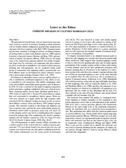 Symmetry breaking in cultured mammalian cells