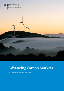 Advancing Carbon Markets - an overview of - BMUB
