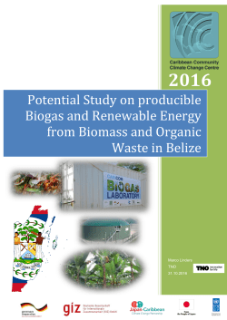 Potential Study on producible Biogas and Renewable Energy from