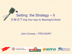 SWOTing way to Meaningful Goals - PRO