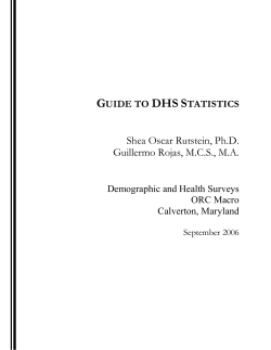 Guide to DHS Statistics