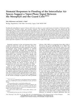 Stomatal Responses to Flooding of the Intercellular Air Spaces