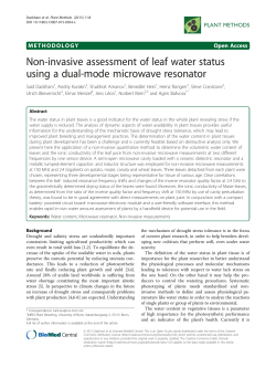 Non-invasive assessment of leaf water status using a dual