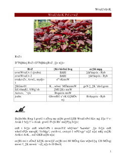 RvZ &Dagger;Kv&curren;ْvbxi bvg ec&Dagger;bi mgq