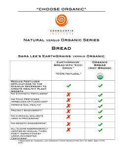 Eco Grain Fact Sheet
