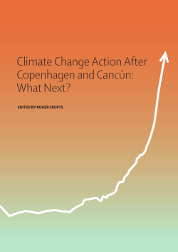 Climate Change Action After Copenhagen and Cancún: What Next?