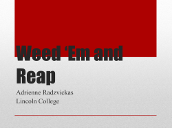 Weed *Em and Reap