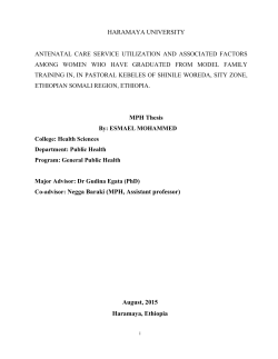 Esmael Final Thesis for SGS