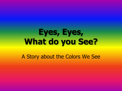 Eyes, Eyes, What did you see?