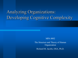 Analyzing Organizations: Developing Conceptual Pluralism