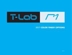 2017 color finish options - T