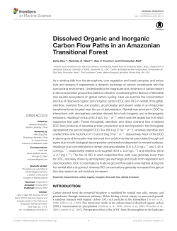 Dissolved Organic and Inorganic Carbon Flow Paths in