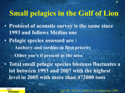 Small pelagics in the Gulf of Lion