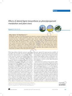 Effects of altered lignin biosynthesis on phenylpropanoid