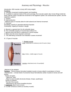Muscles - Harpeth High School Health Science