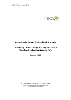 Exmoor Woodland Carbon Report