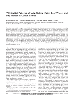 O Spatial Patterns of Vein Xylem Water, Leaf