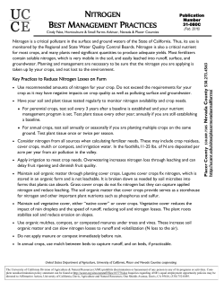 NITROGEN BEST MANAGEMENT PRACTICES