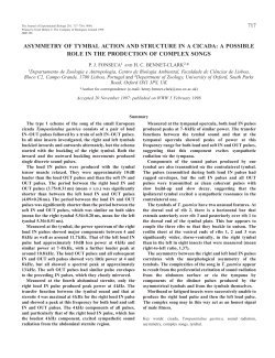 asymmetry of tymbal action and structure in a cicada: a possible role