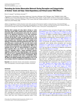 Perturbing the Action Observation Network