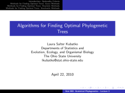 Algorithms for Finding Optimal Phylogenetic Trees