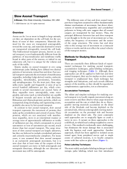 Slow Axonal Transport