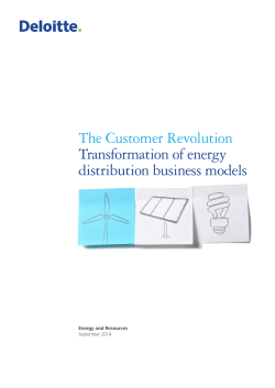The Customer Revolution Transformation of energy