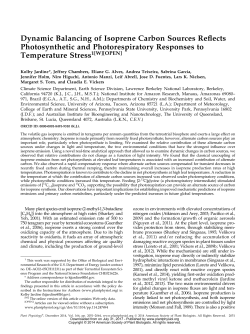 Dynamic Balancing of Isoprene Carbon Sources Reflects