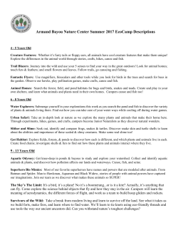 camp descriptions