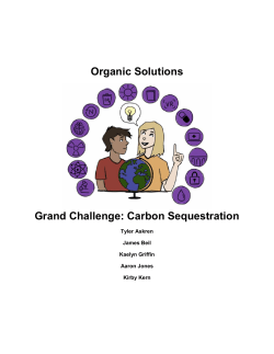 Organic Solutions Grand Challenge: Carbon - Rose