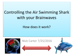 Project Description Controlling the EV3 Robot with
