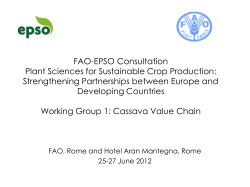 Cassava Value Chain - European Plant Science Organisation
