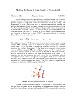 Modeling the Oxygen Evolving Complex of Photosystem II