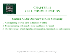 Unit 3 Cellular Biology Chp 11 Cell Communication